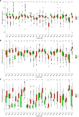 Frontiers | The role of YAP1 in survival prediction, immune 